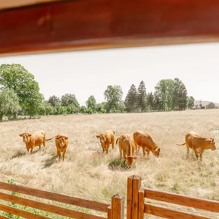 Ferienhaus U Vleku