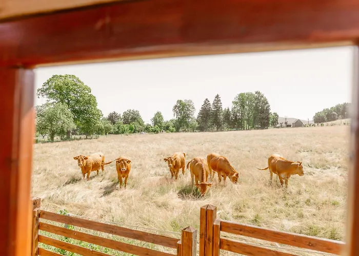 Tatil Evi U Vleku